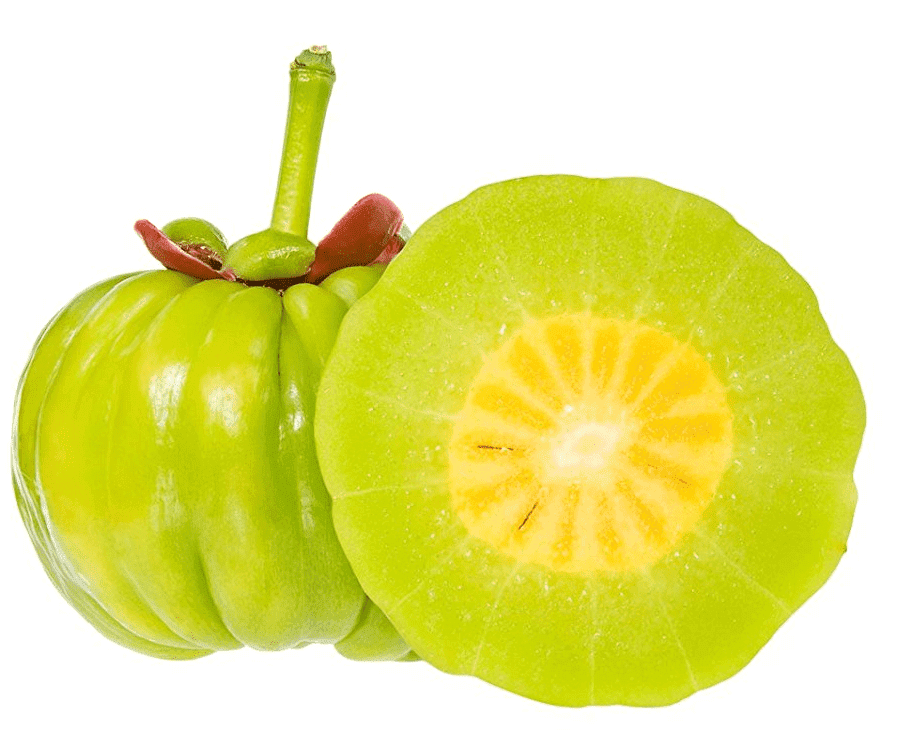 Garcinia Cambogia