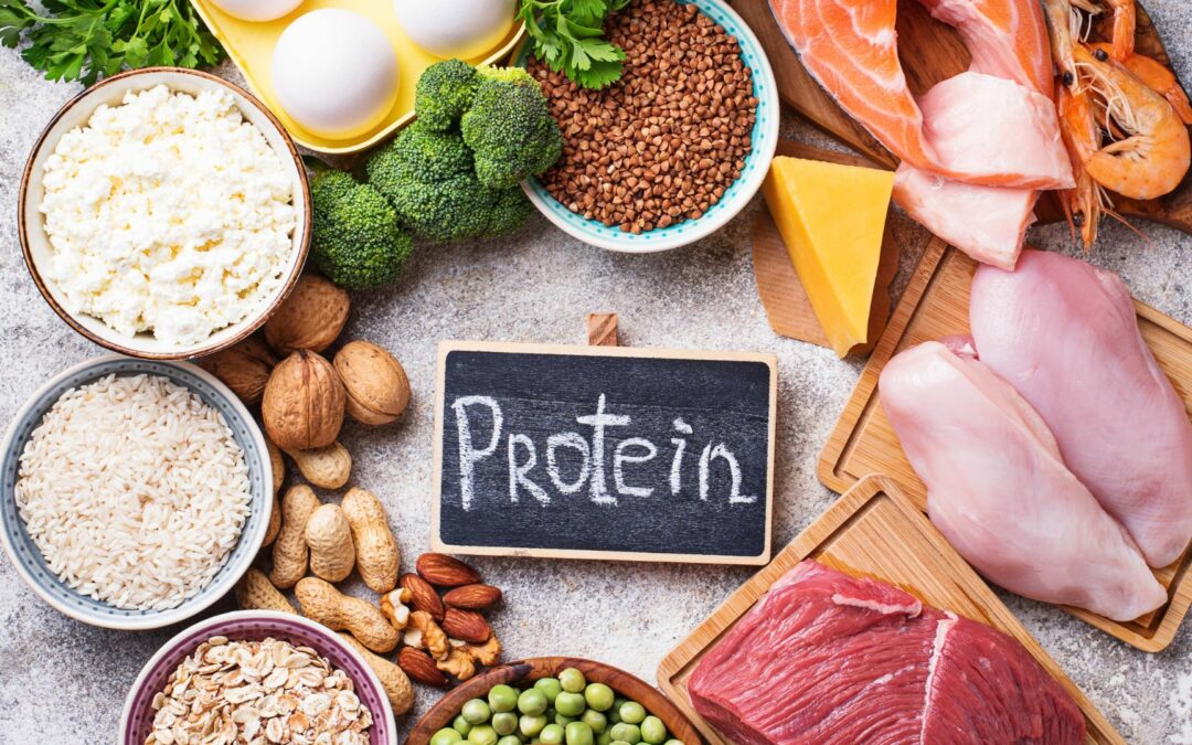 Proteine und ihre Bedeutung für den Muskelaufbau